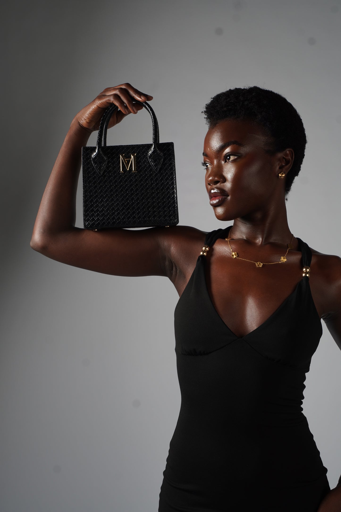 Le Sac Début – The Statement Bag